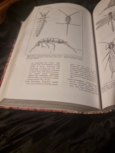 Invertibrate Zoology . 4th edition(Hardcover Illustrated Boards)