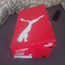 puma Image 6