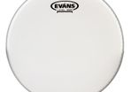Evans 16