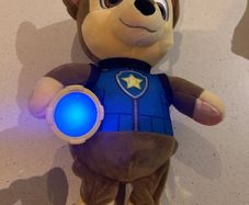 paw patrol items