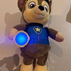 paw patrol items