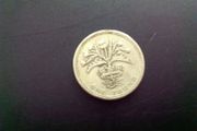 Old English Pound Coin