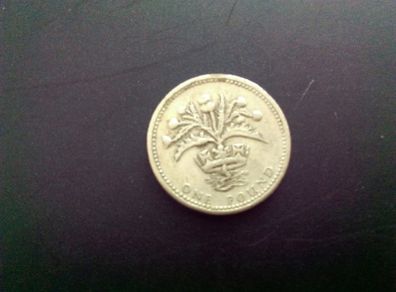 Old English Pound Coin