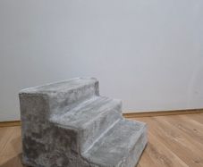 Pet Stairs