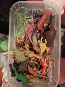 Box of Dinosaurs