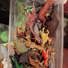 Box of Dinosaurs