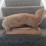 Taxidermy Image 3