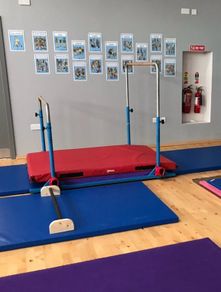 5 in 1 Gymnastics Bars