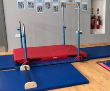 5 in 1 Gymnastics Bars