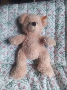 steiff teddy