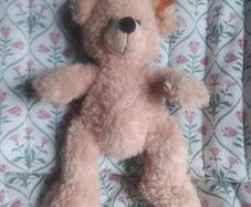 steiff teddy