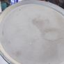 a large antique wemyss pottery ware loving cup Image 4