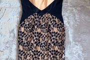 Hybrid Navy Nude Lace Panel Bodycon Midi Dress UK 16 BNWT Occasion Dress