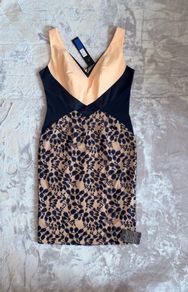 Hybrid Navy Nude Lace Panel Bodycon Midi Dress UK 16 BNWT Occasion Dress