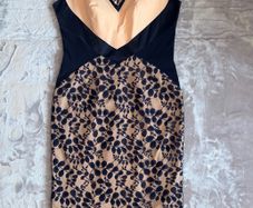 Hybrid Navy Nude Lace Panel Bodycon Midi Dress UK 16 BNWT Occasion Dress