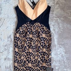 Hybrid Navy Nude Lace Panel Bodycon Midi Dress UK 16 BNWT Occasion Dress