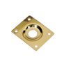 Dished Jack Plate for Les Paul etc (Chrome/Gold) Image 2