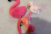 3 flamingos