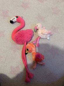 3 flamingos