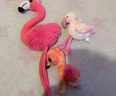3 flamingos
