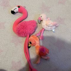 3 flamingos