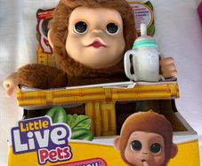 Little live pets baby monkey