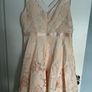 Coast Dress Image 3