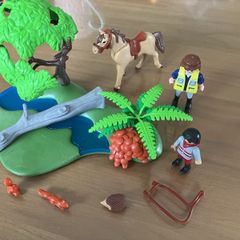 Playmobil country horse set