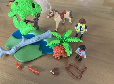 Playmobil country horse set