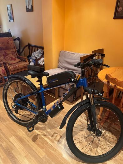 TREK 1000W Electric Bike