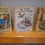 Full set Adventure Series by Enid Blyton Image 3