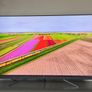 Tcl 65-inch QLED 4k Ultra Hd Smart Android TV Image 10