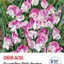 (S) Sweet Pea Blue Ripple seeds 1g (601462) Image 3