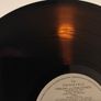 The Colourfield Translucent Irish Pressing Of Virgins and Philistines Image 6
