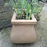 flower pot Image 3
