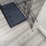 dog crate Image 3