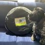 Dog Agility Tunnel Image 2