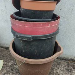 large plant pots