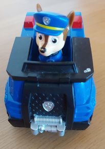 Paw Patrol Case