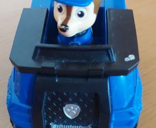 Paw Patrol Case