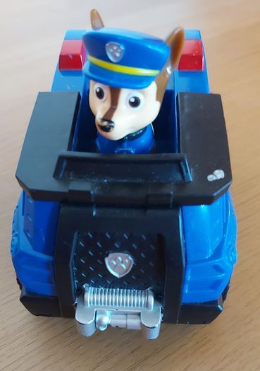 Paw Patrol Case