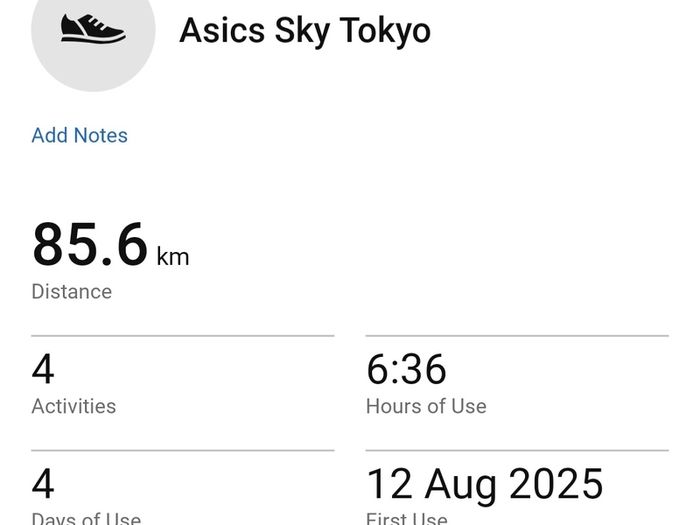 Asics Metaspeed Sky Tokyo (9 UK, EU 44)