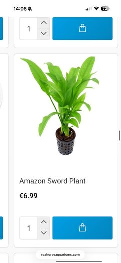 Fish Tank Plants