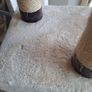 large cat tower Image 2