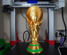 Realistic World cup 25cm