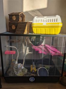 Rat cage and accessories