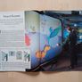 Scientific American Magazine Prehistoric Amber Issue 1996 Image 10