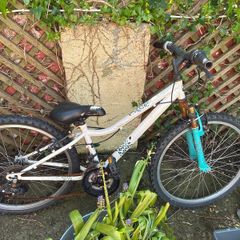 kids bike