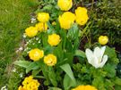 Gardener Image 7