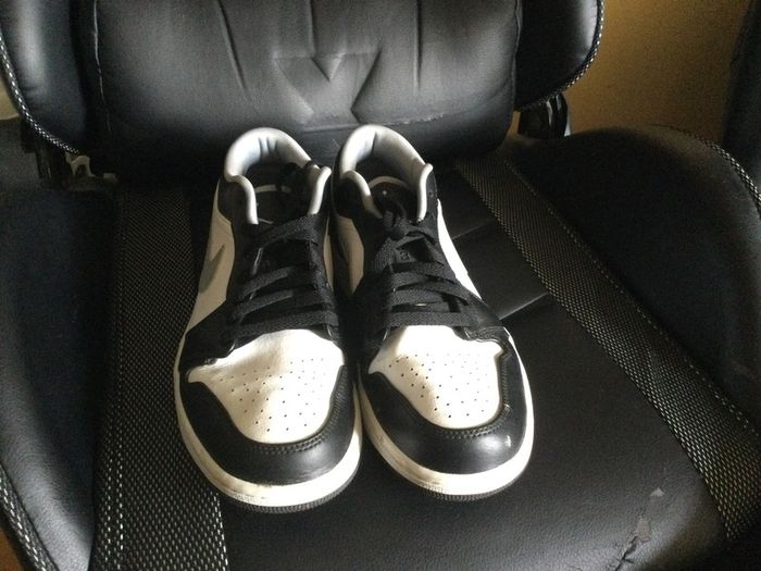 Jordan 1 low